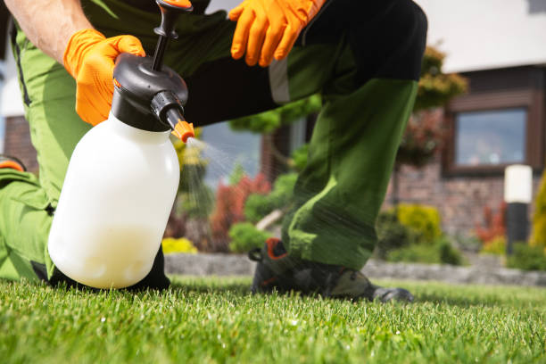 Best Pest Removal Services  in Deforest, WI