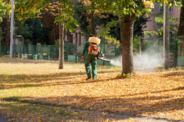 Best Cockroach Control Services  in Deforest, WI
